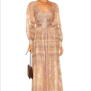 Hemant and Nandita gown